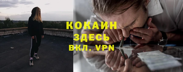 марки lsd Белокуриха