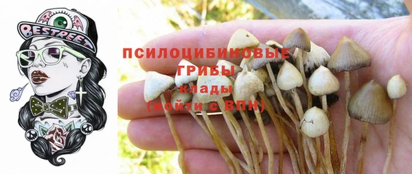 марки lsd Белокуриха
